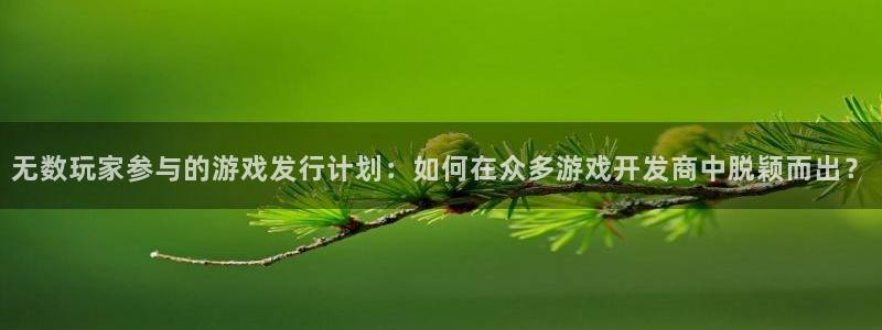 非凡游戏注册平台登录入口：无数玩家参与的游戏发行计划：如何在众多游戏开发商中脱颖而出？