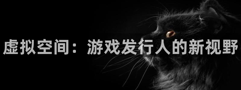 非凡游戏官网子文化：虚拟空间：游戏发行人的新视野