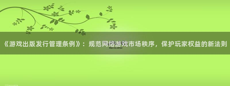 非凡游戏官网电子科技怎么样：《游戏出版发行管理条例》：规范网络游戏市场秩序，保护玩家权益的新法则