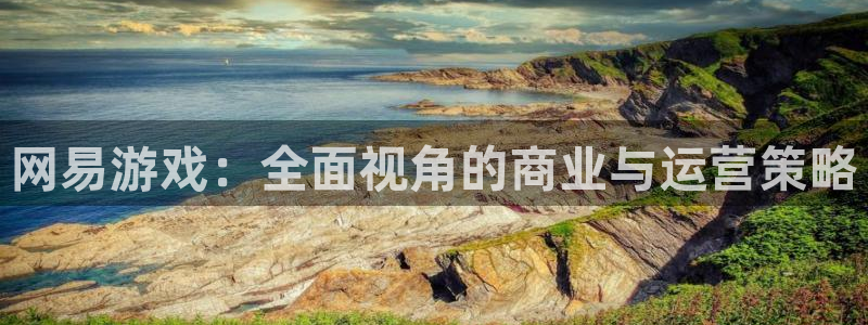 非凡游戏登录注册失败怎么办：网易游戏：全面视角的商业与运营策略