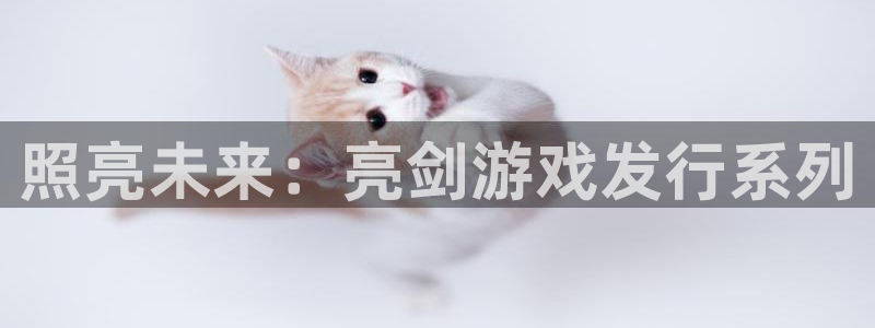 南京非凡游戏官网子电子商务有限公司