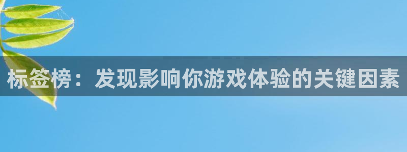 非凡游戏客服服务：标签榜：发现影响你游戏体验的关键因素