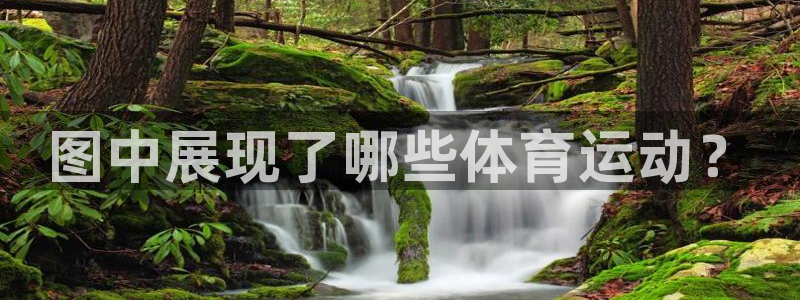 77体育