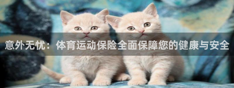 77体育app下载官网