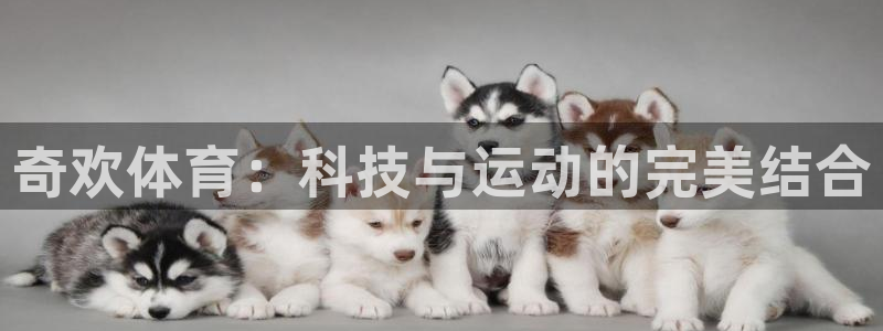 77体育app下载官网